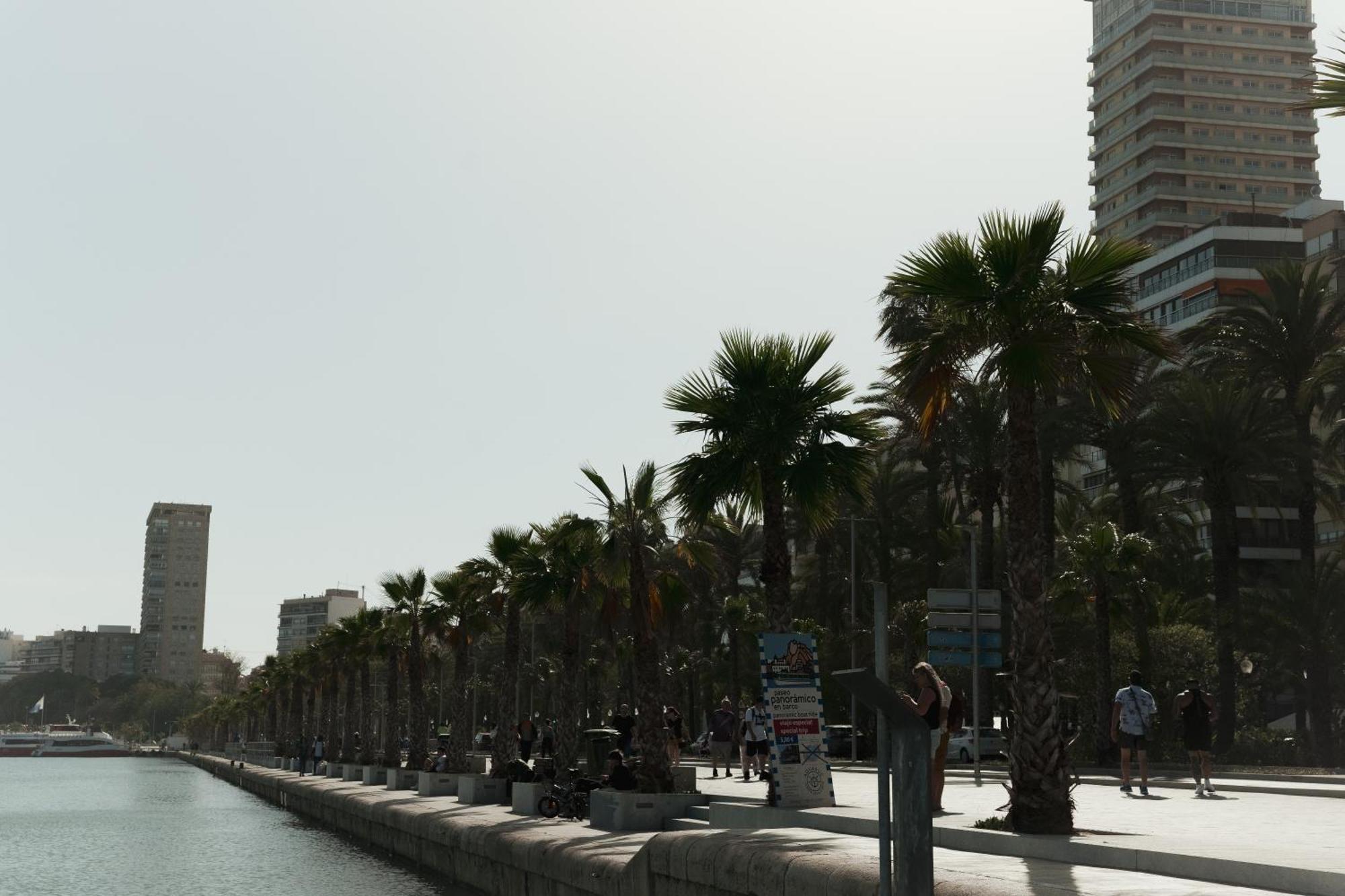Bs Luxury Estate El Campello Apartment Luaran gambar